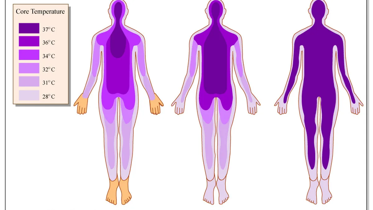 Body Temperature And Sleep